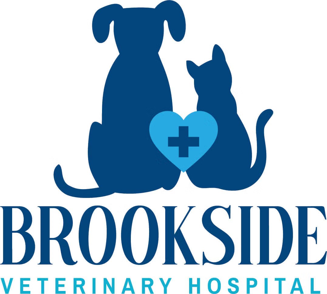 Brookside Veterinary Hospital Top Rated Gig Harbor Veterinarians