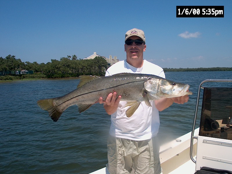Snook Florida Fishing Charters