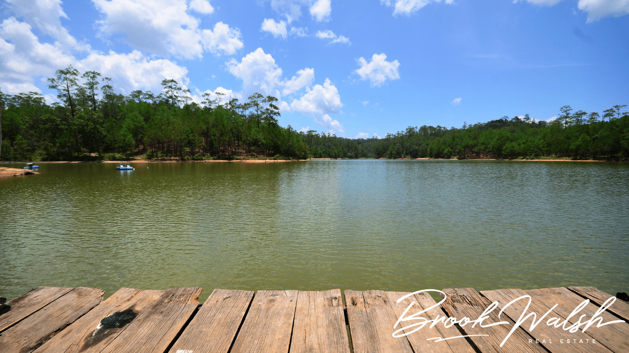 Discover Walloon Lake A Guide to the Area