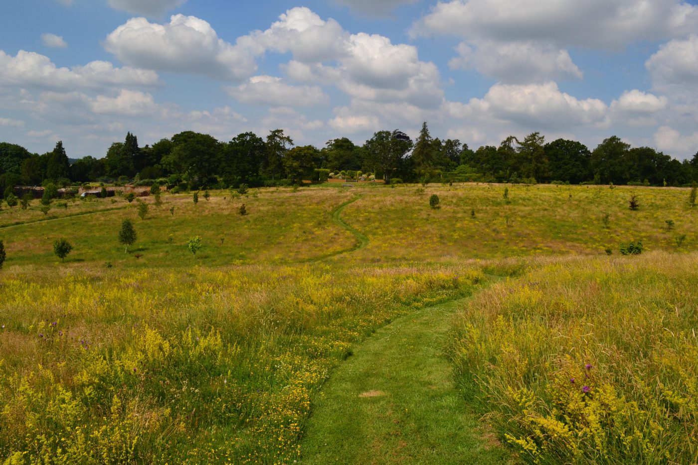 Arboretum Broughton Grange Gardens