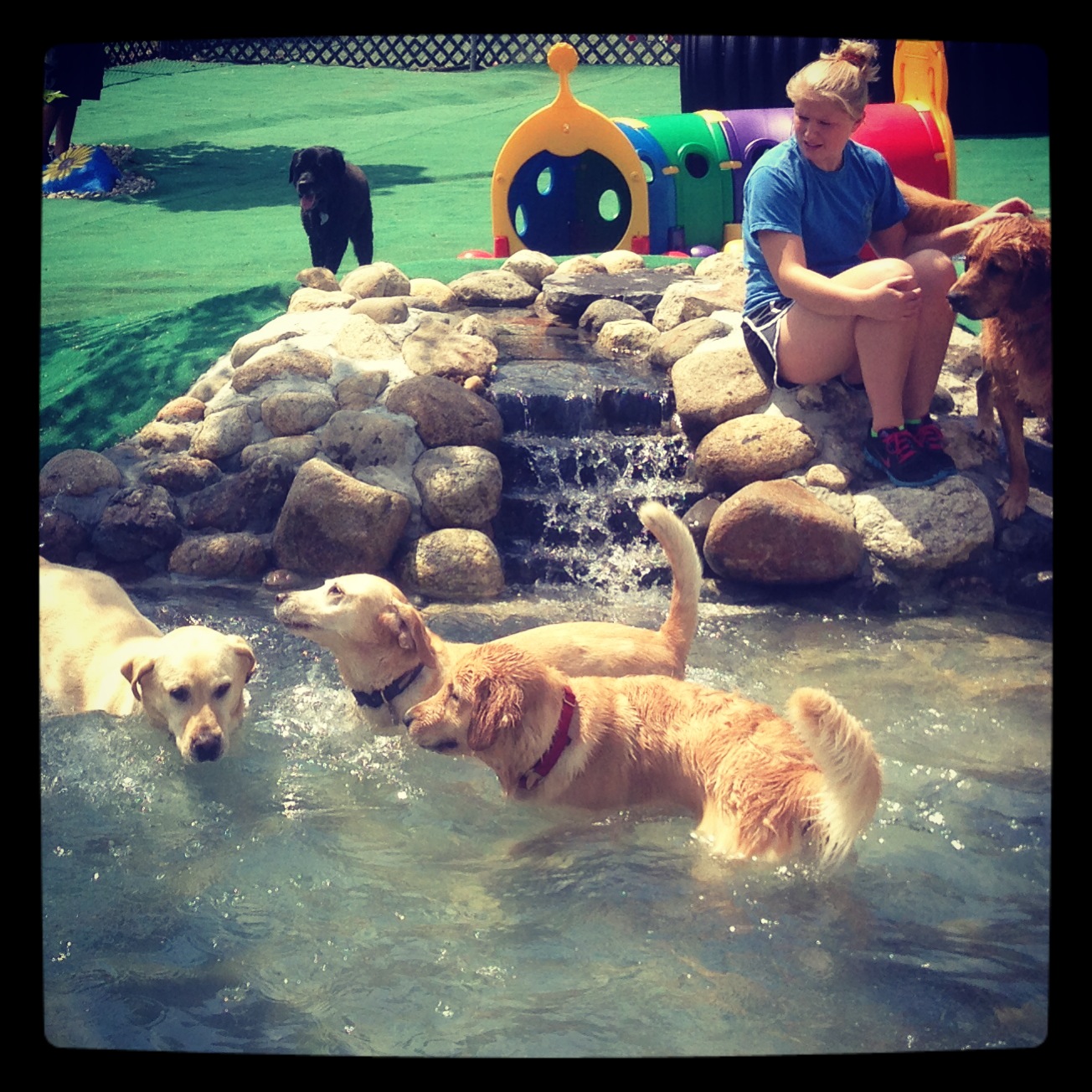 Boarding Reservations