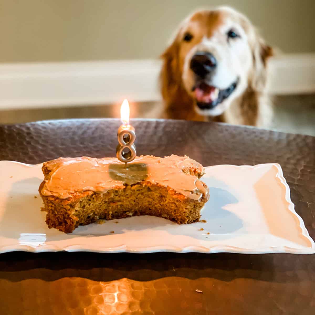 Dog Shaped Cakes