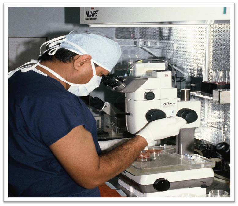 IVF Lab Brown Fertility, Jacksonville and Orlando FL