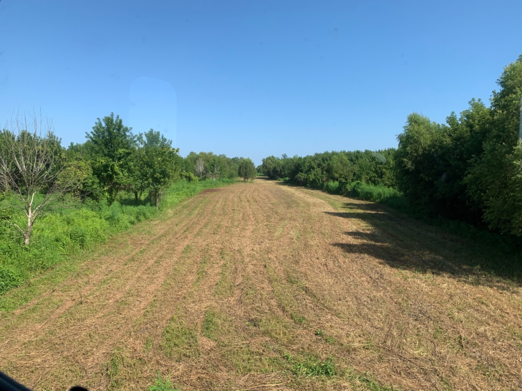 223 acres in Warren County, Mississippi Brown Realty Co