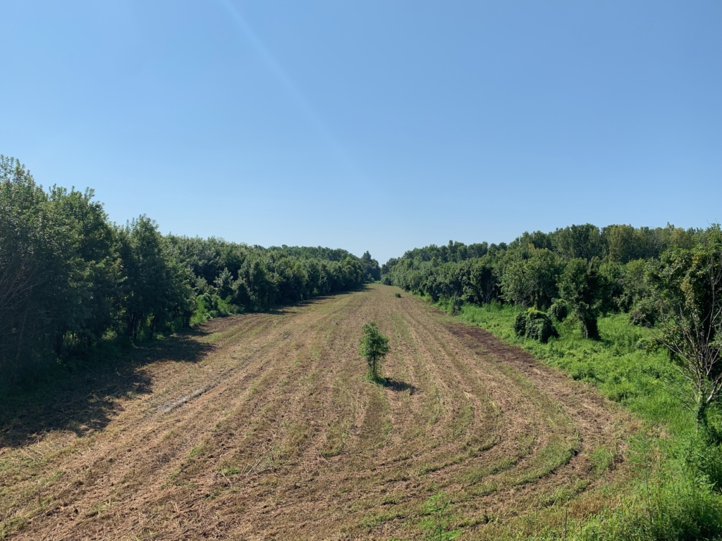 223 acres in Warren County, Mississippi Brown Realty Co