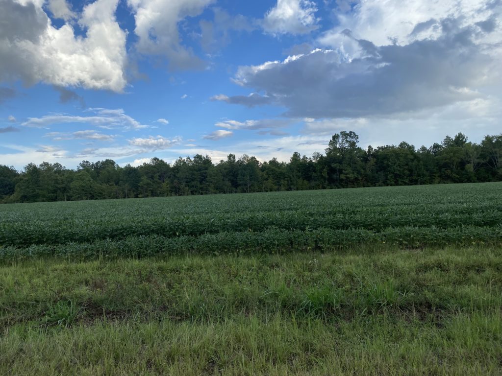 175 acres in Franklin Parish, Louisiana Brown Realty Co