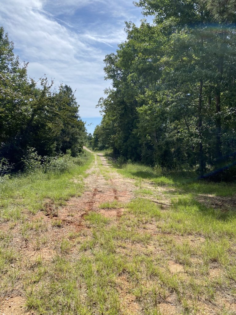 40 acres in Jackson Parish, Louisiana Brown Realty Co