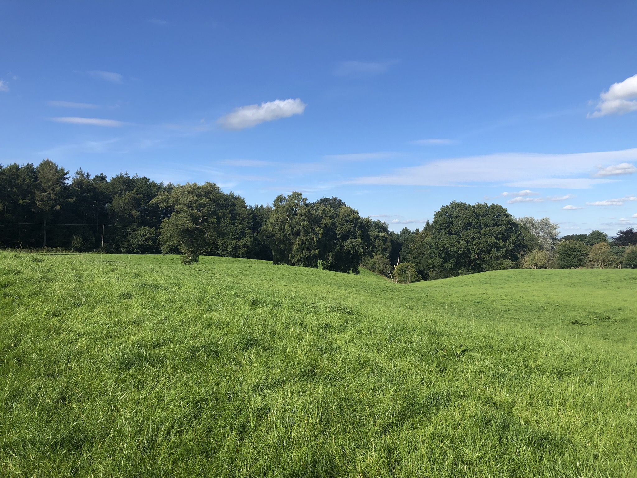 Our Properties Brown Rural