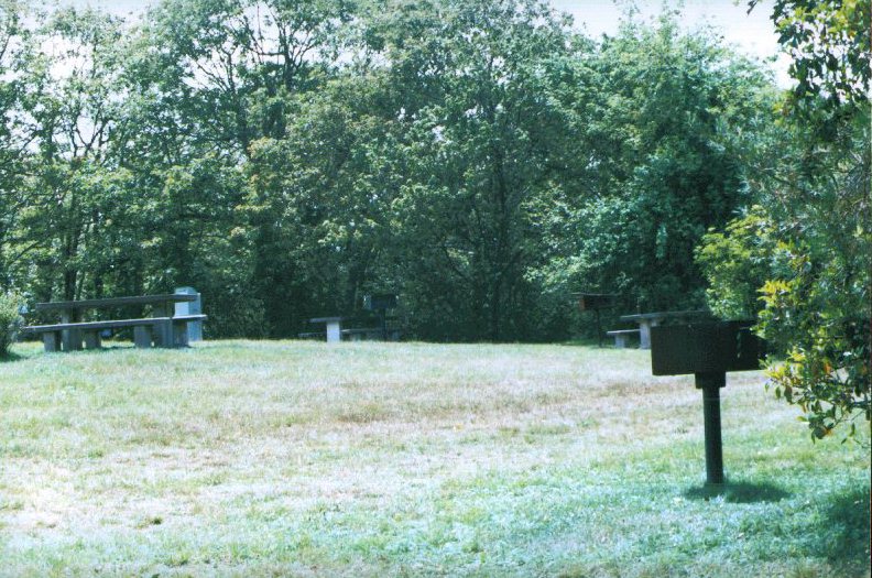 Mt. Pisgah Picnic Area Trail Hike the Blue Ridge Parkway