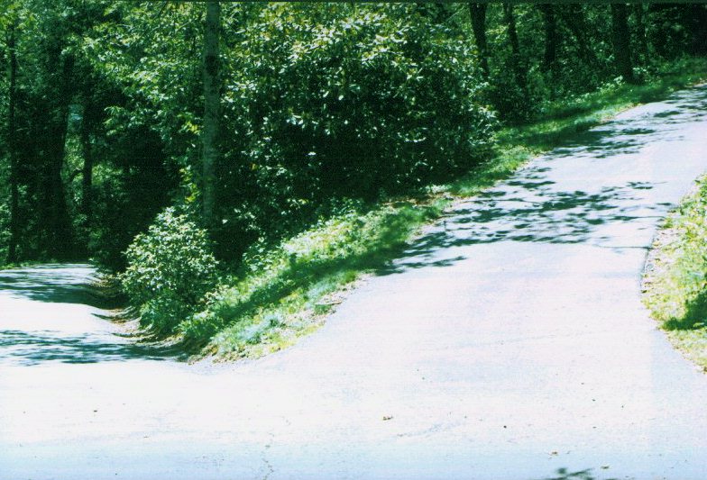 Mt. Pisgah Picnic Area Trail Hike the Blue Ridge Parkway
