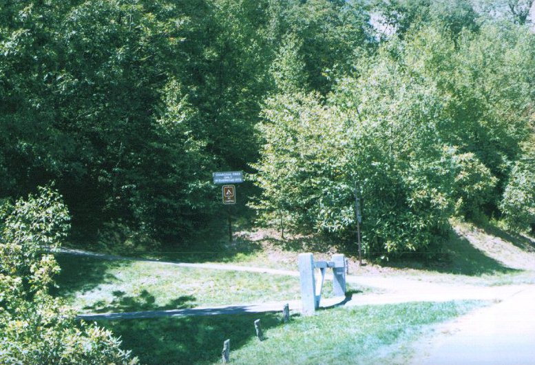 Mt. Pisgah Picnic Area Trail Hike the Blue Ridge Parkway