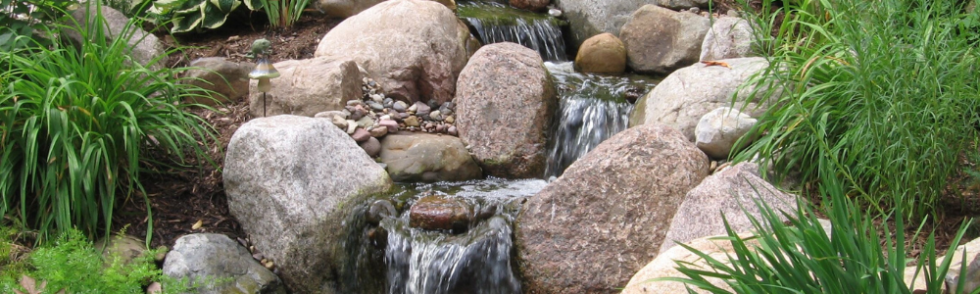 Treating Algae in Your Summer Pond & More! The Bruce Company