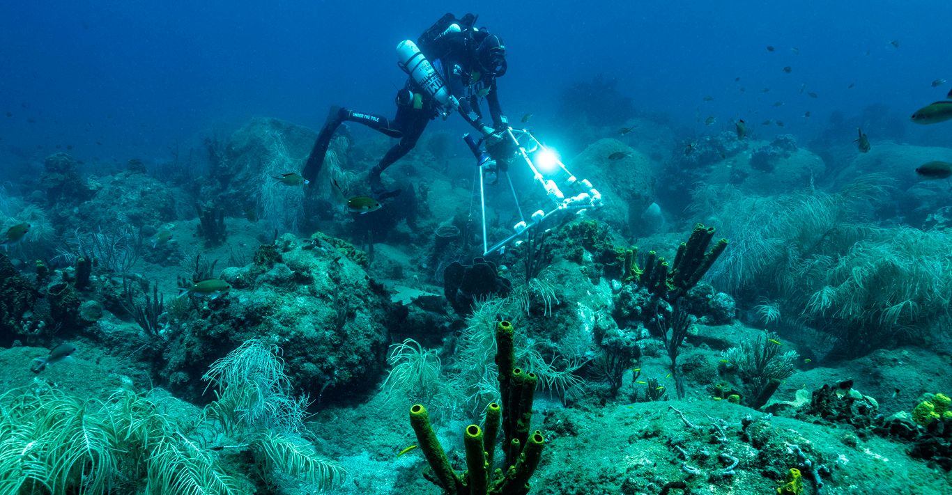 Perpetual motion Brummell