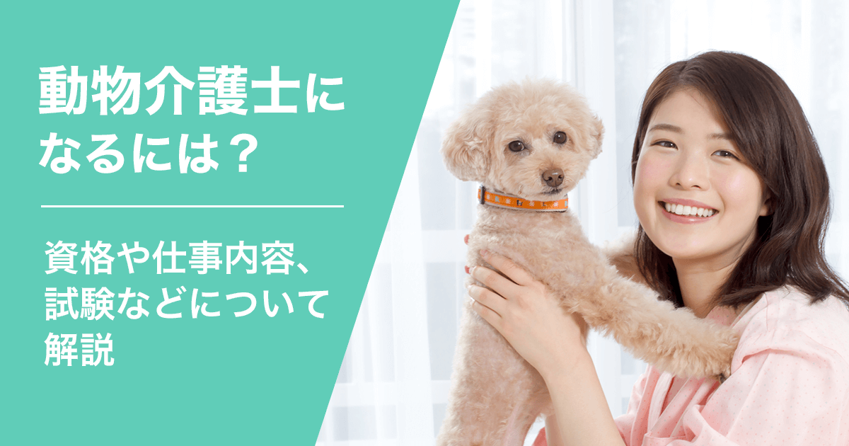 動物介護士（ペット介護士）になるには？独学で資格を取得することは可能？