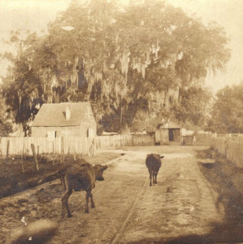 dec03 Town of Brusly