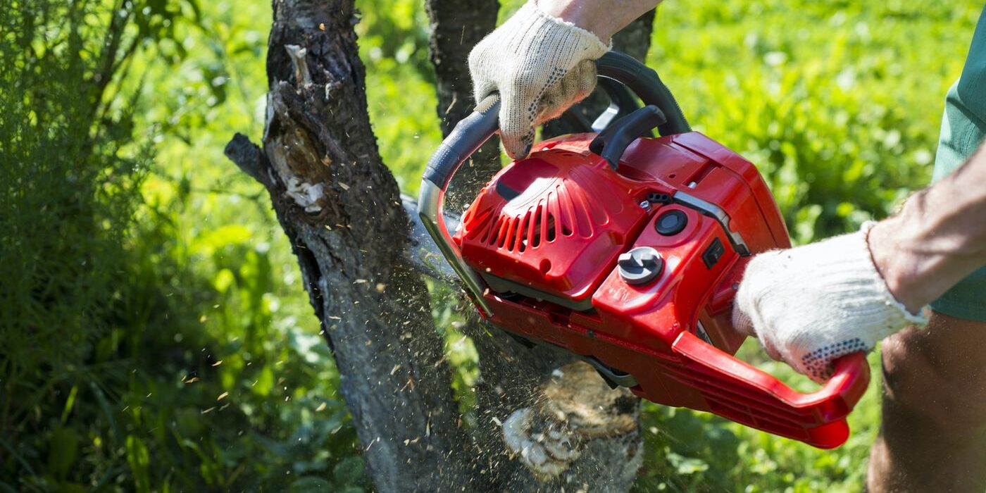 Shrub Removal Miller's Tree Service