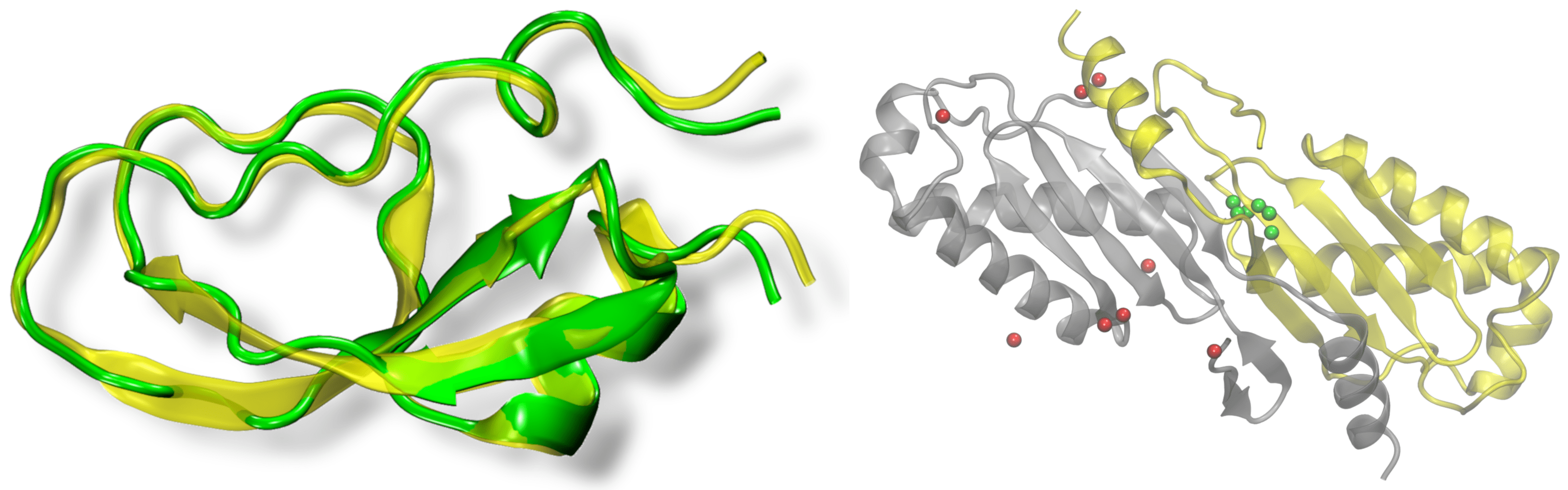 Protein structure and function modeling Computational Systems Biology