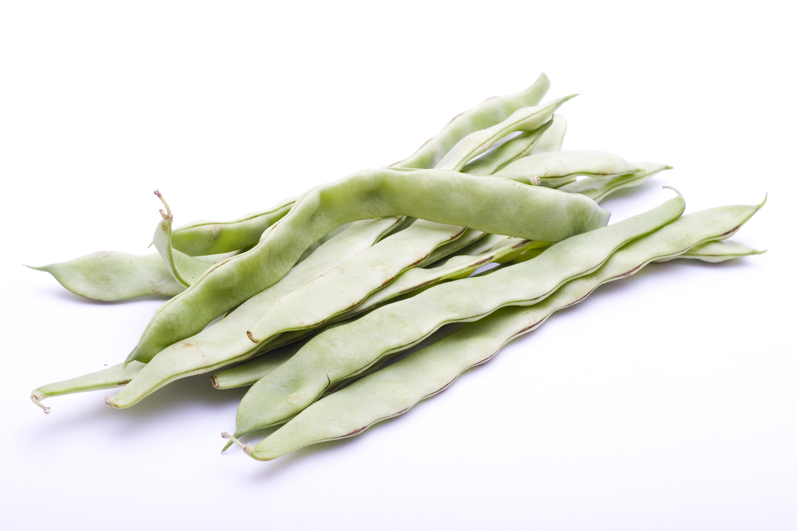 Romano Beans Bryson Farms