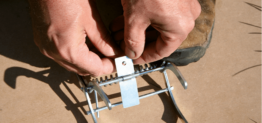 Hoe mollen vangen? Een stap voor stap aanpak! Tips &amp; advies Bio