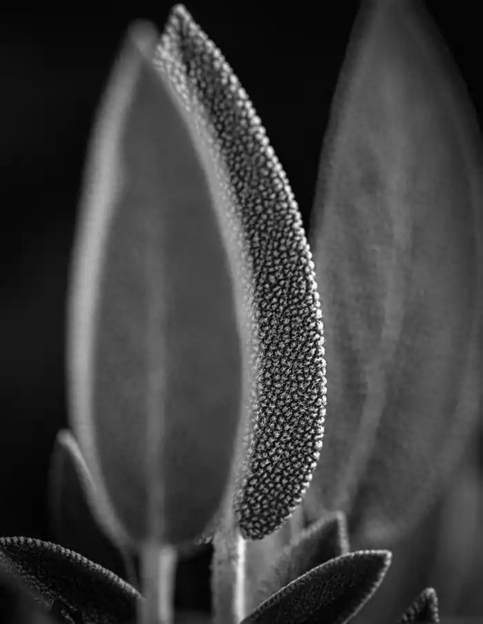 25 Black and white abstract photography ideas