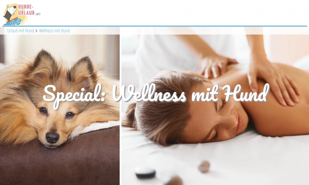 Wellness mit Hund Verwöhnhotels auf