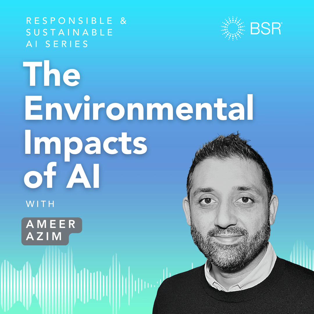 BSR Podcast Series Sustainable Business Network and Consultancy BSR