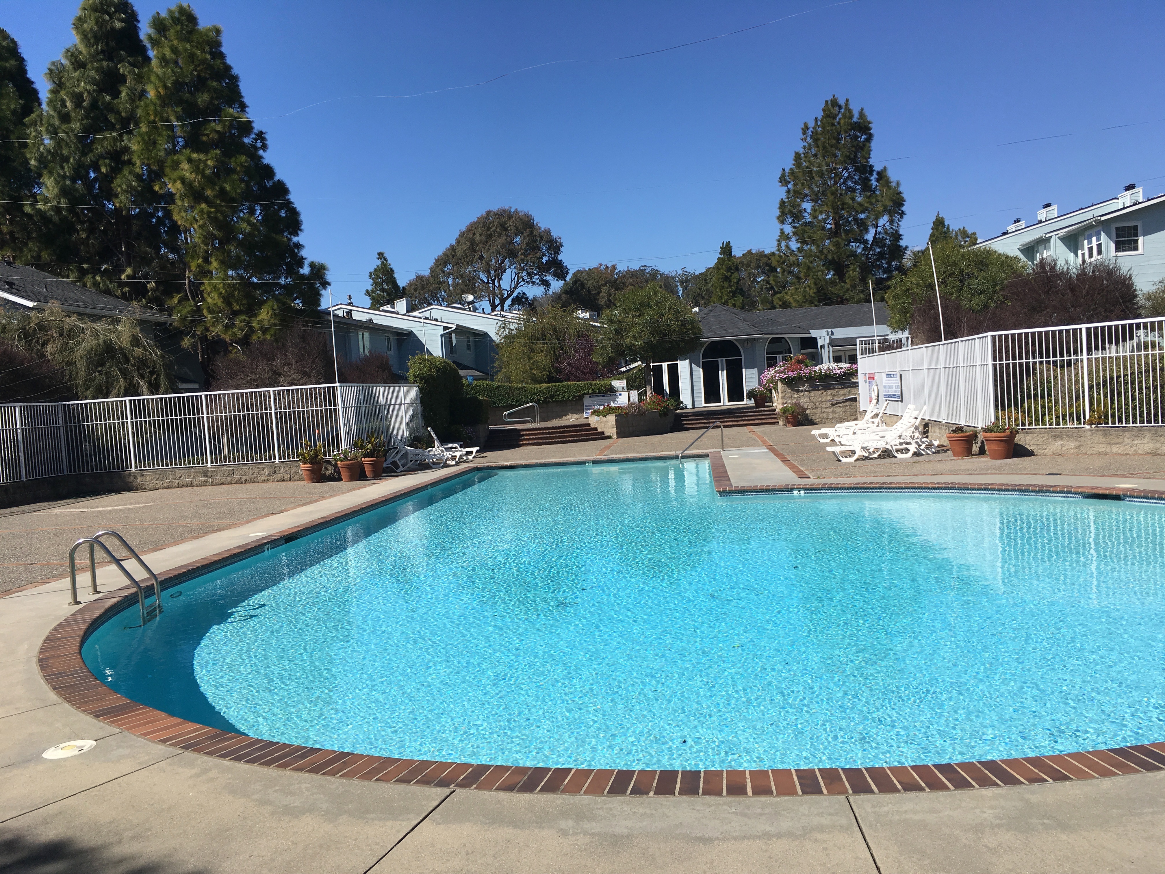 IMG_9626 Bayshore Village HOA