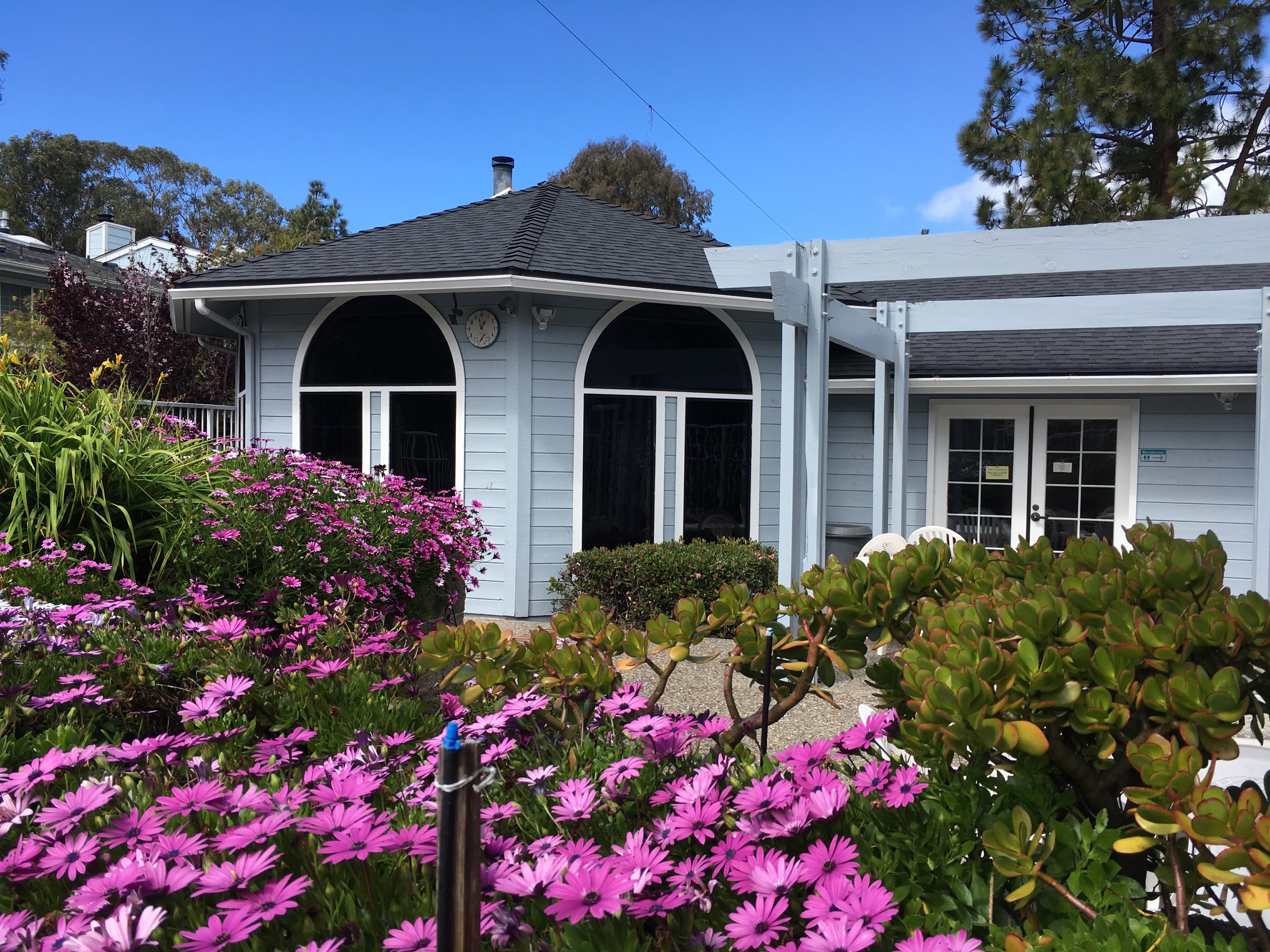 IMG_9718 2 Bayshore Village HOA