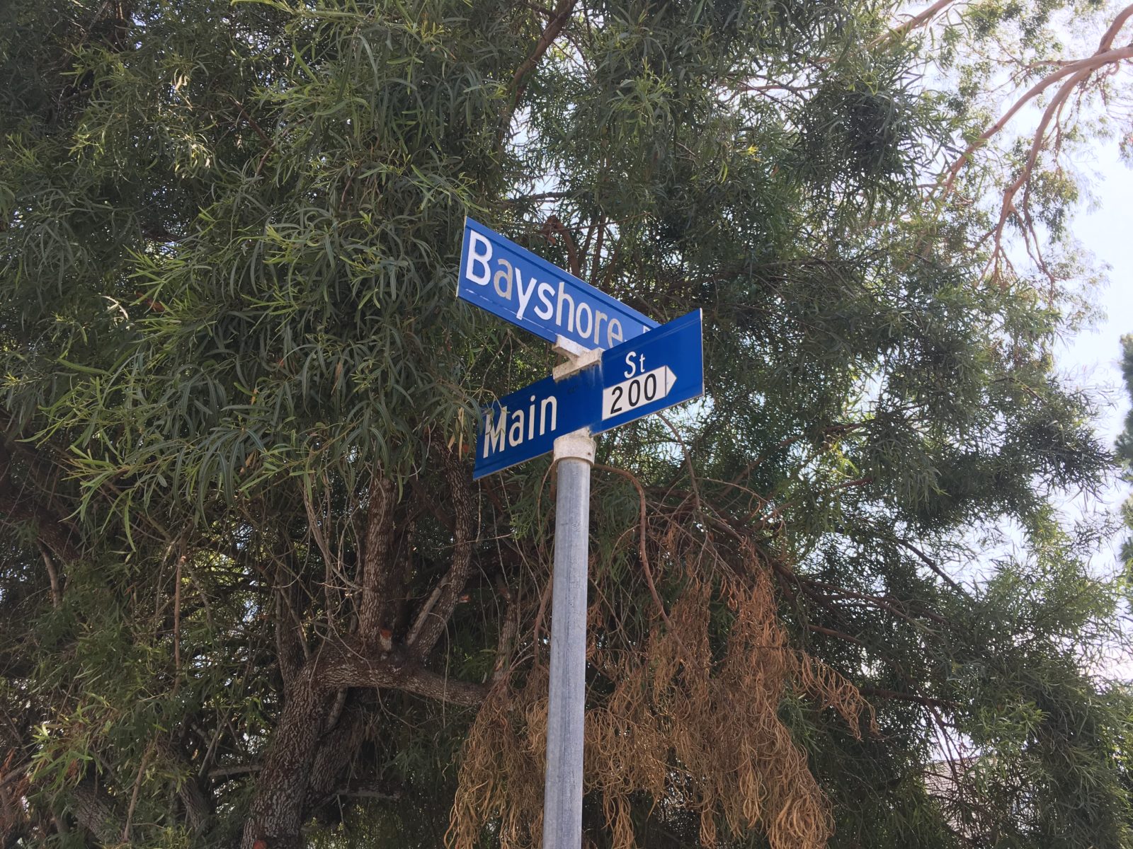 Events Morro Bay June 2023 Photos Bayshore Village HOA