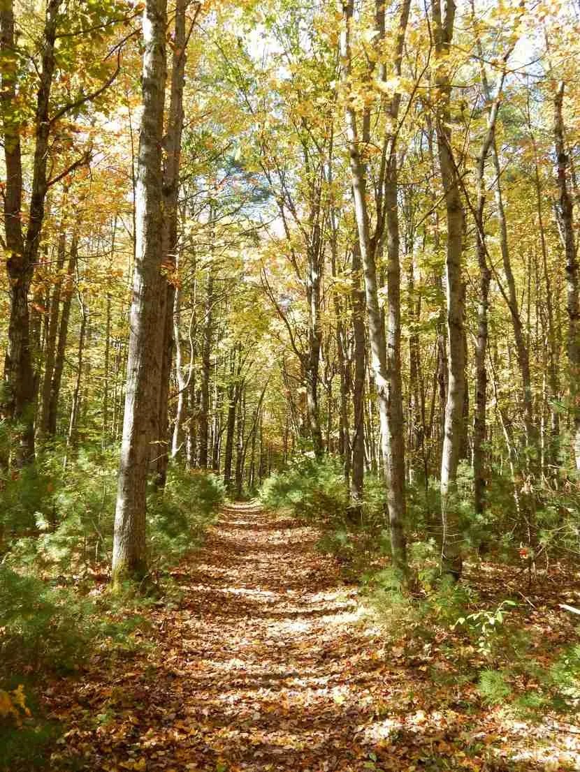 BrunswickTopsham Land Trust Celebrates 30th Anniversary Brunswick