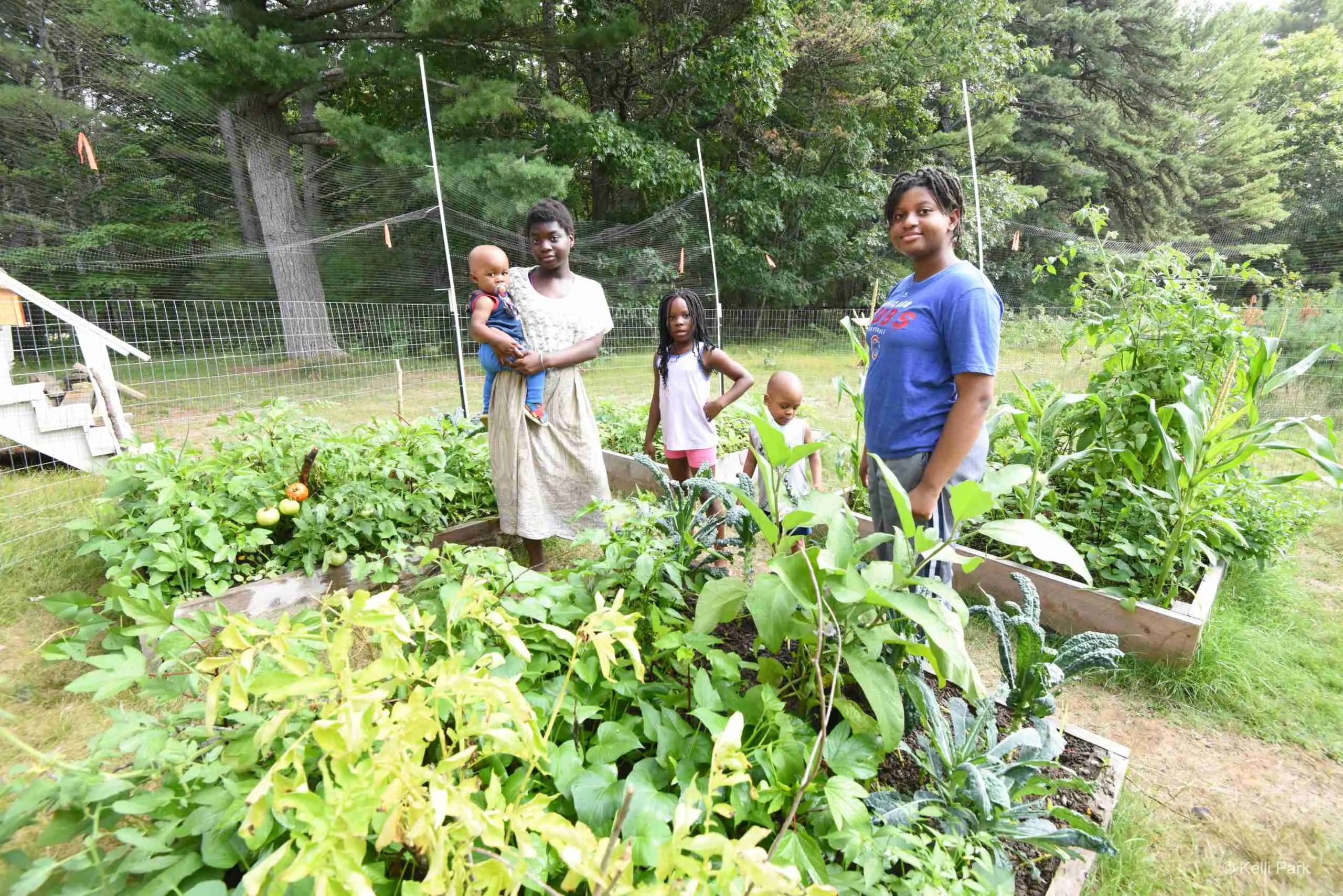 New Mainers Garden a Blooming Success BrunswickTopsham Land Trust