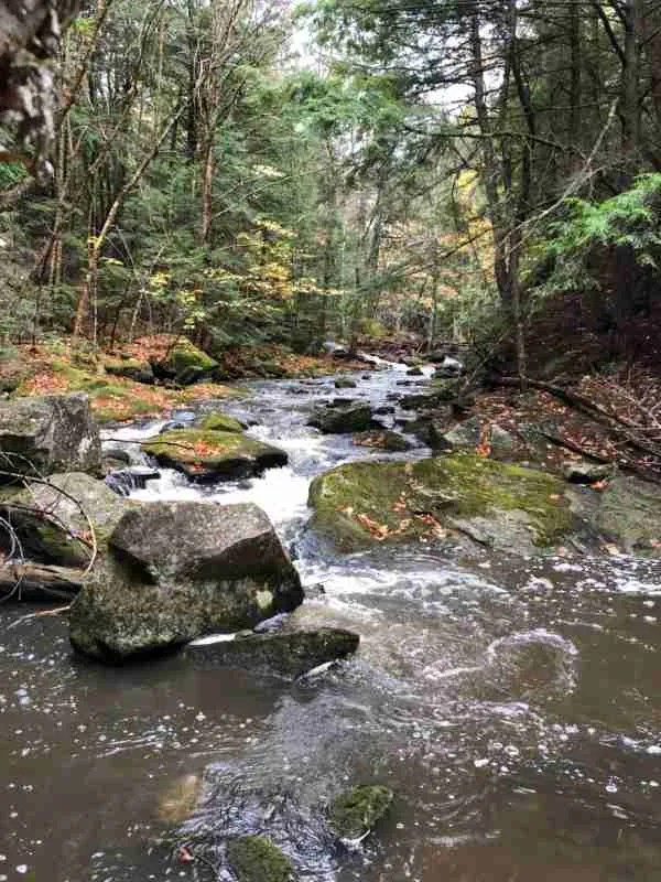 BTLT Committees BrunswickTopsham Land Trust