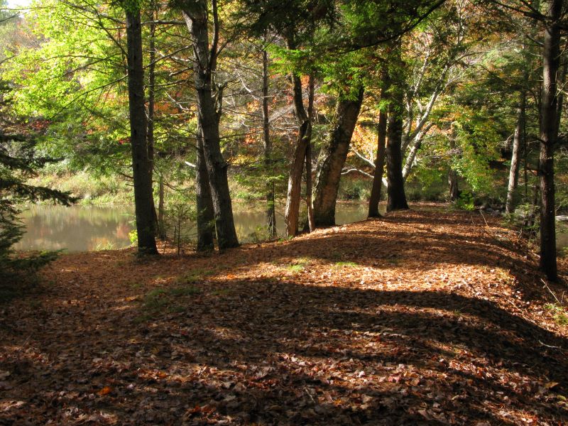 A Beloved Trail Achieves Perpetuity BrunswickTopsham Land Trust