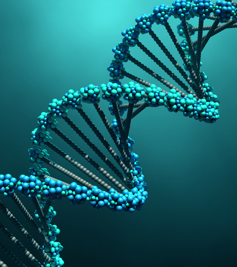 (SCIENCE) L’ADN humain similaire à l’ADN de moustique à