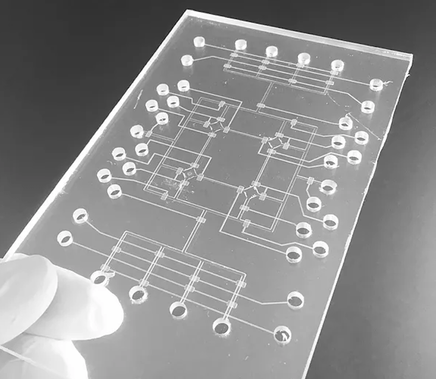 The Wave of the Future is IttyBitty Bubbles College of Engineering