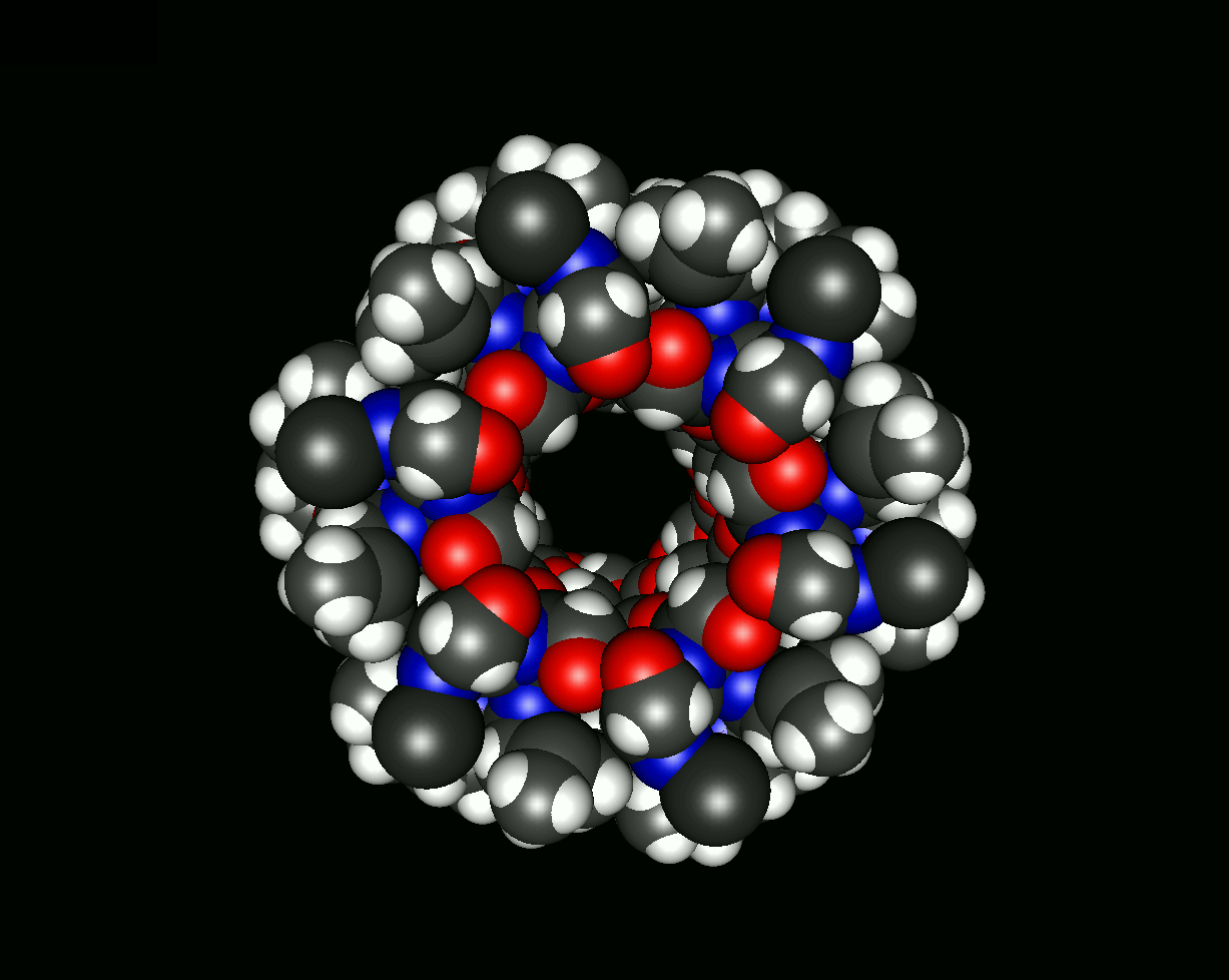 Molecular Dynamics Simulation of Ion Propagation through a Protein Ion