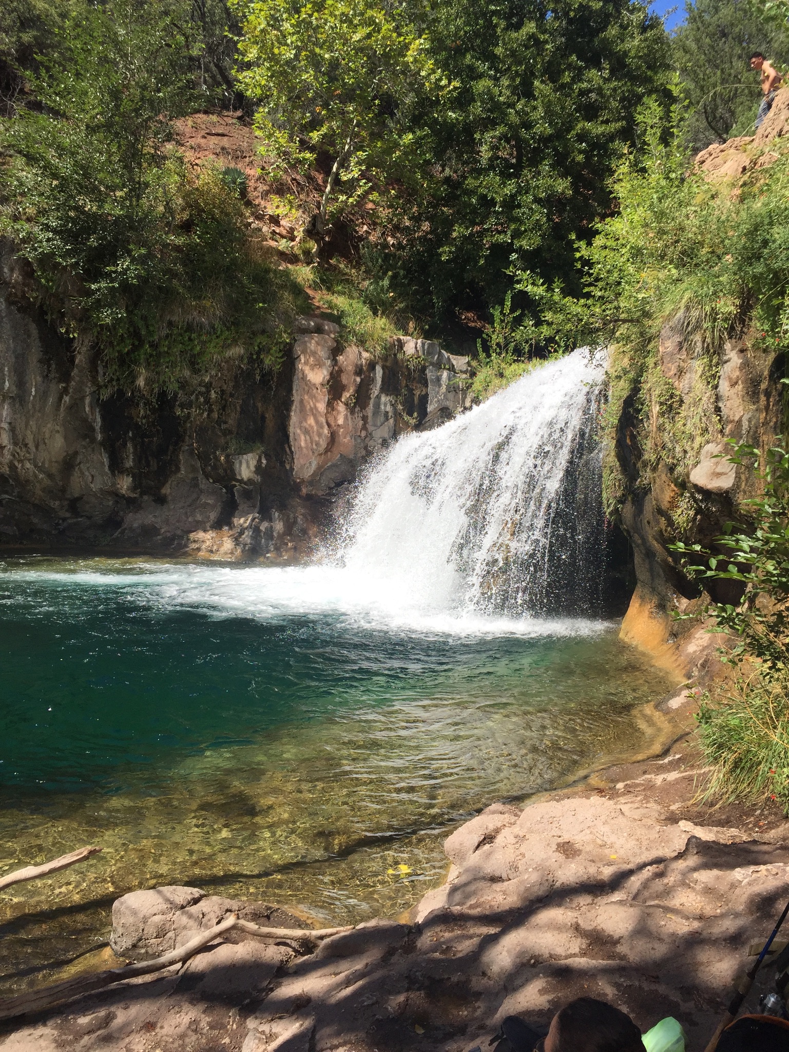 Fossil Springs Travel Guide Bubbles and Brains