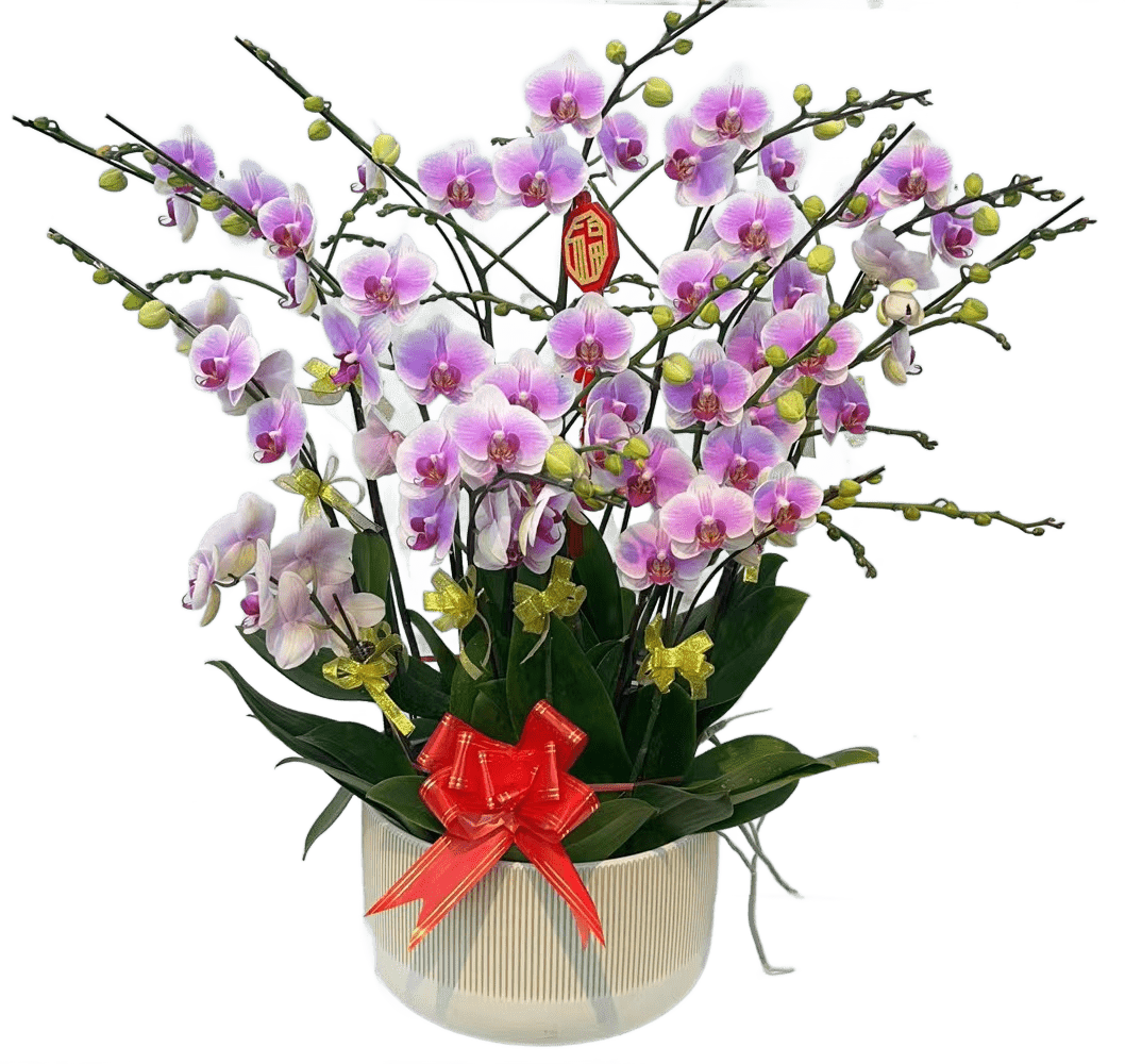 Lucky Flowers Pot Combo for Chinese New Year 08)