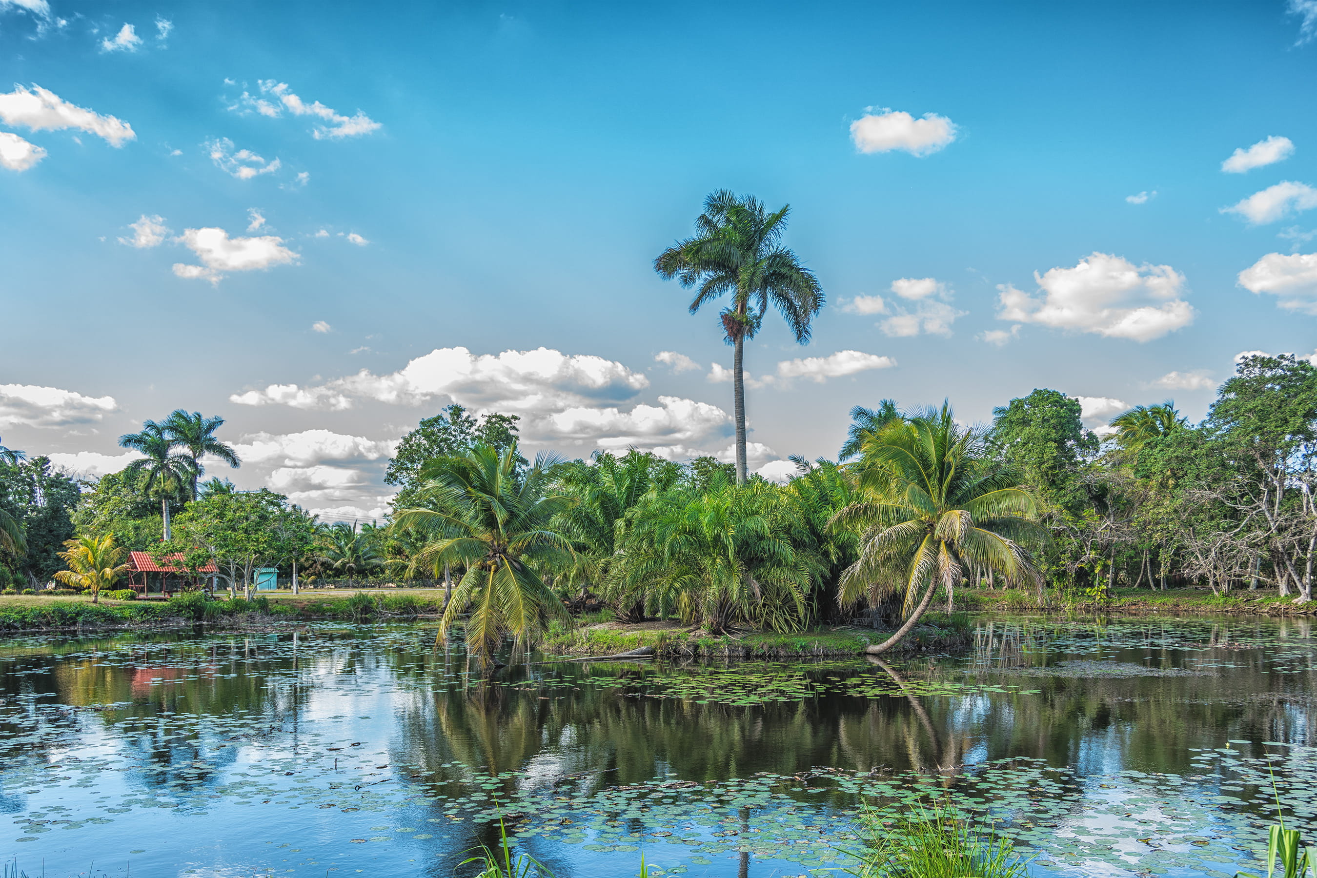 Liveaboard in Gardens of the Queen trip of in Cuba
