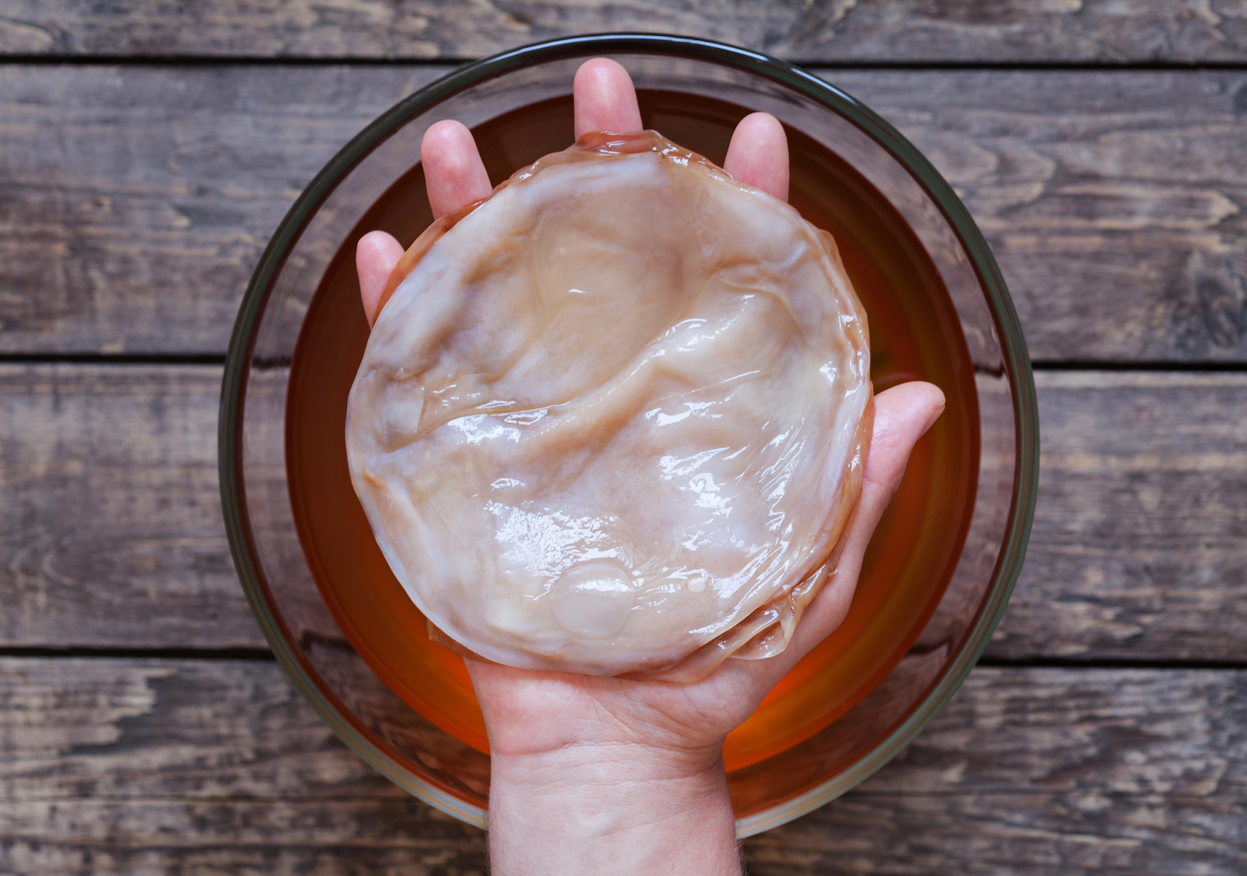 Buchi Kombucha Scoby Buchi Kombucha