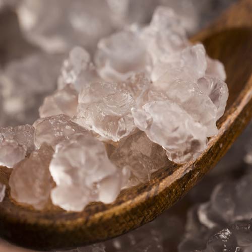 Water Kefir Grains/Culture Only Buchi Kombucha