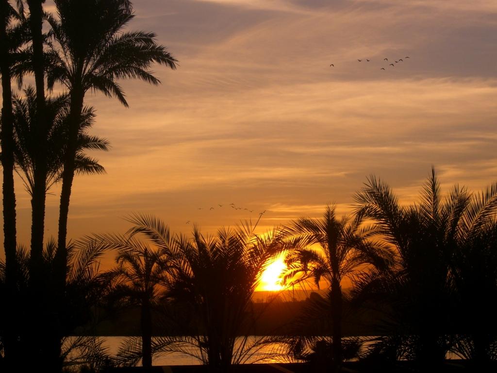 Visiting Egypt’s Ruins from a Nile River Cruise — BucketTripper