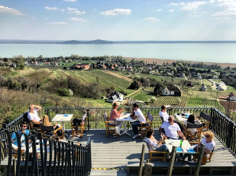 Wine Tour Budapest 101