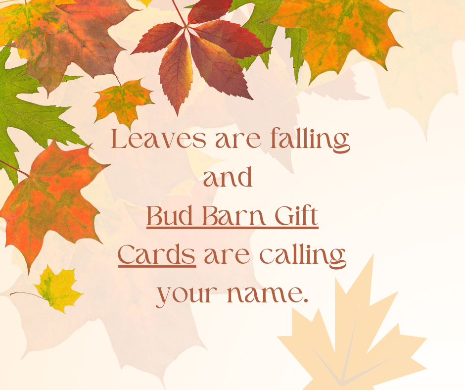 Bud Barn Recreational Cannabis Dispensary in Winchendon, MA