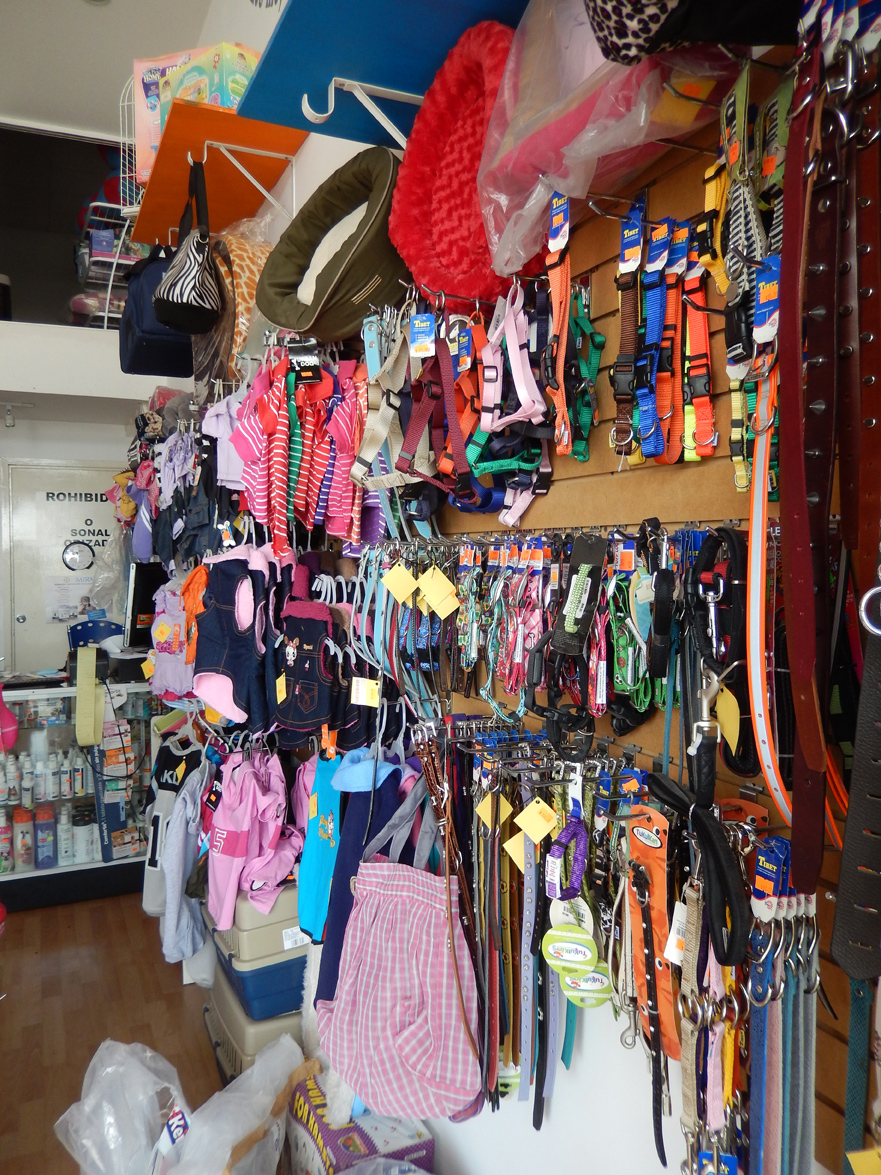 Sucursal Cañadas Buddy Pet