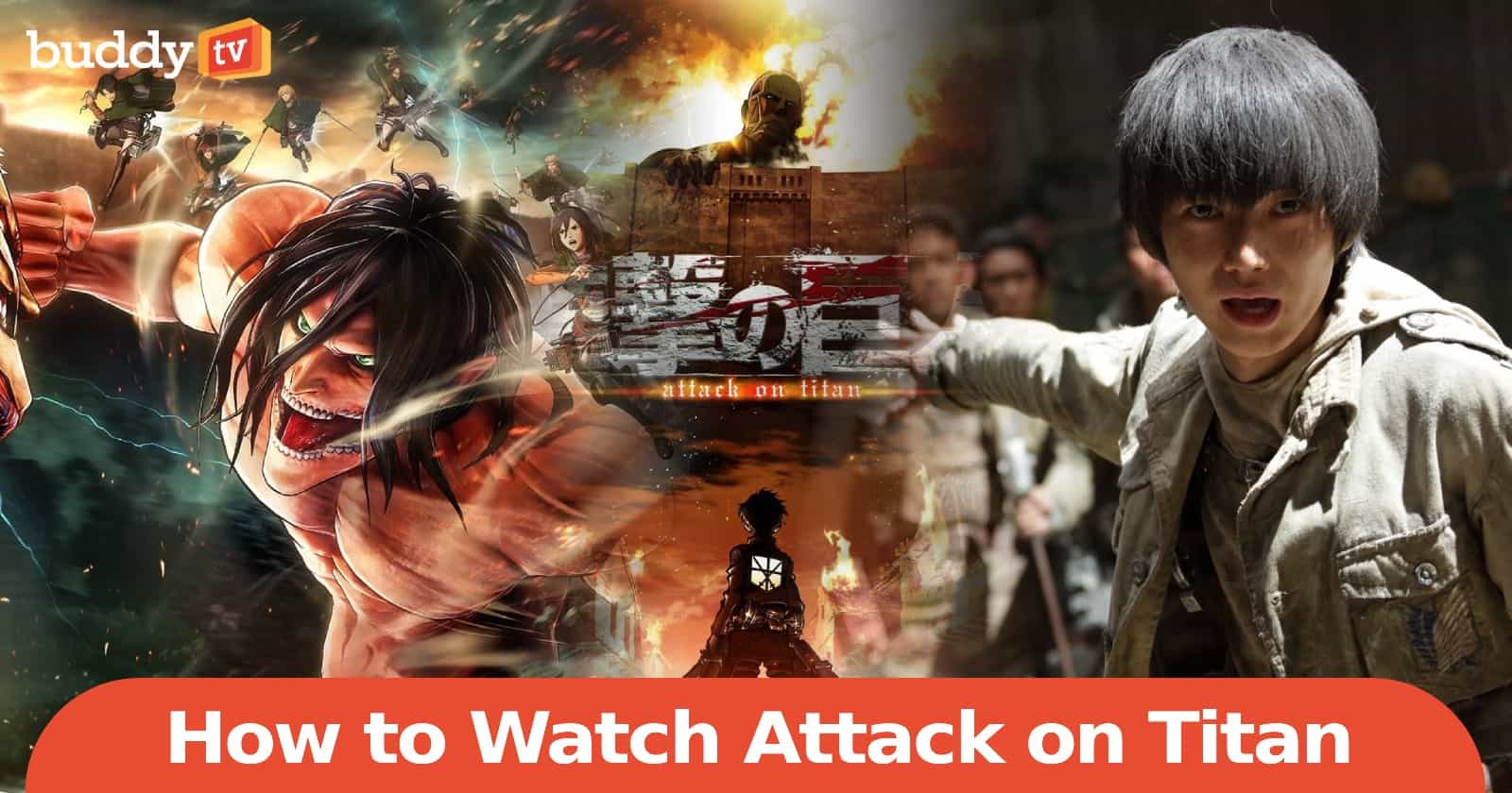 How to Watch Attack on Titan in Order (Manga Series & Movies) BuddyTV