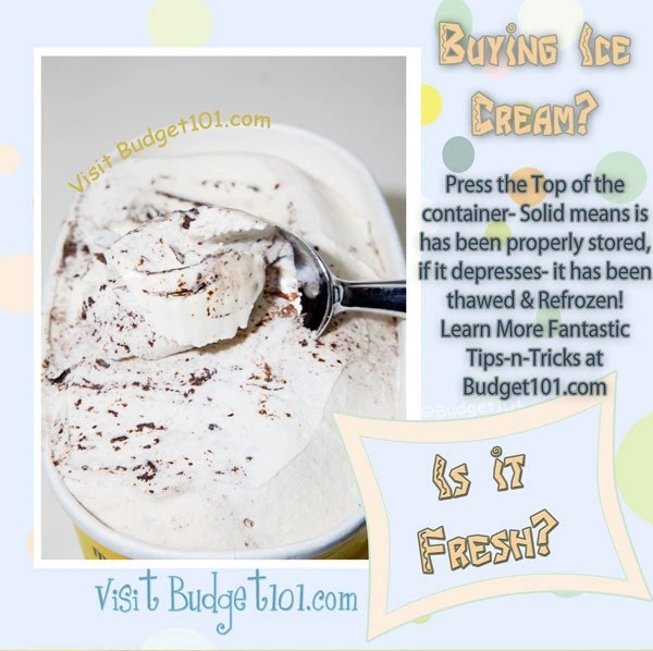 How Long Can Fresh Ice Cream Last at Audrey Underwood blog