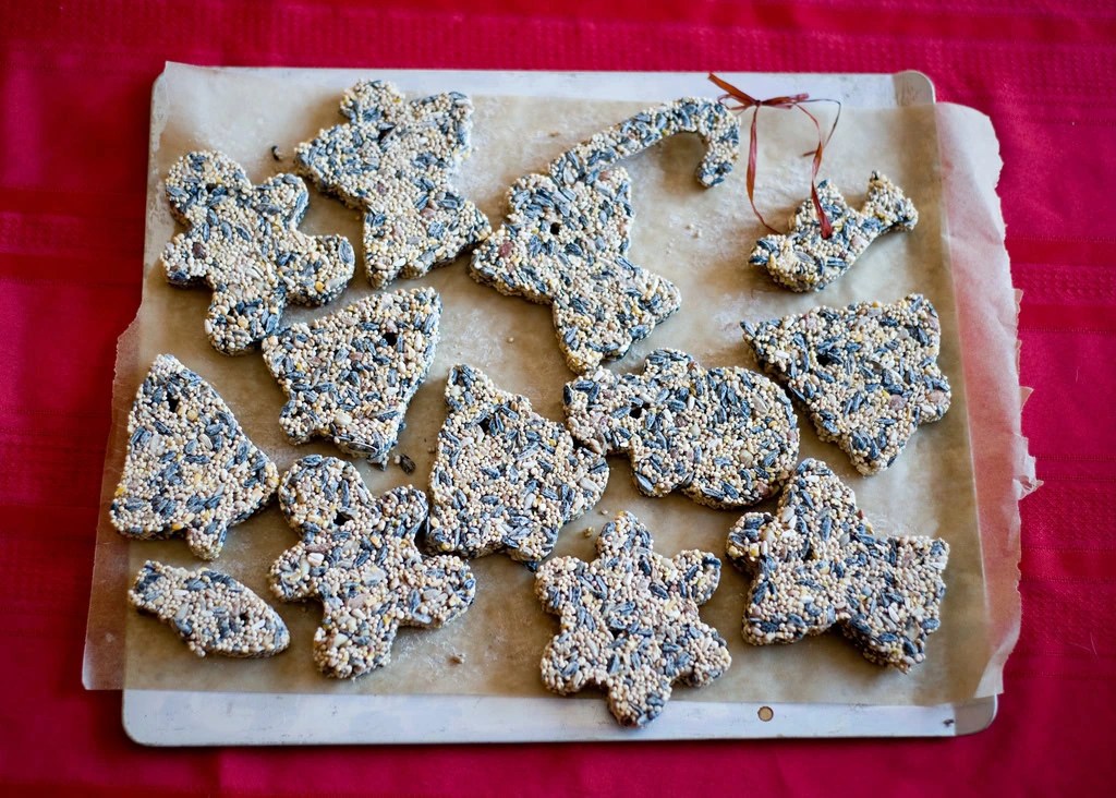 Easy Homemade Bird Seed Ornaments