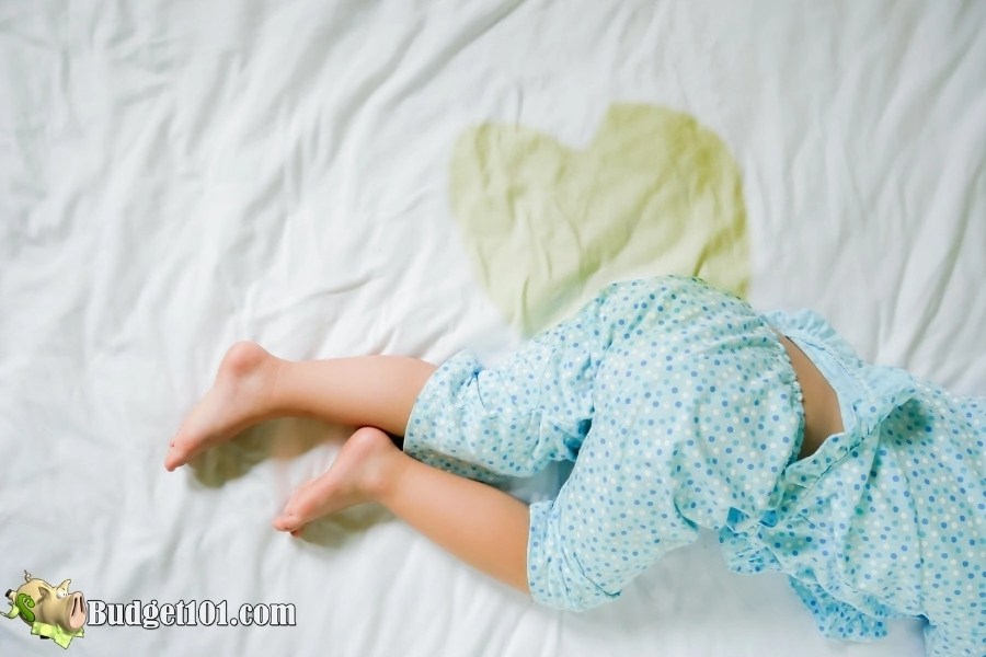 Easy Ways to Remove Urine Smell from Clothing by