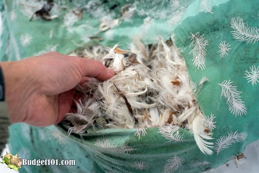 How to Clean and Whiten Yellowed Pillows by